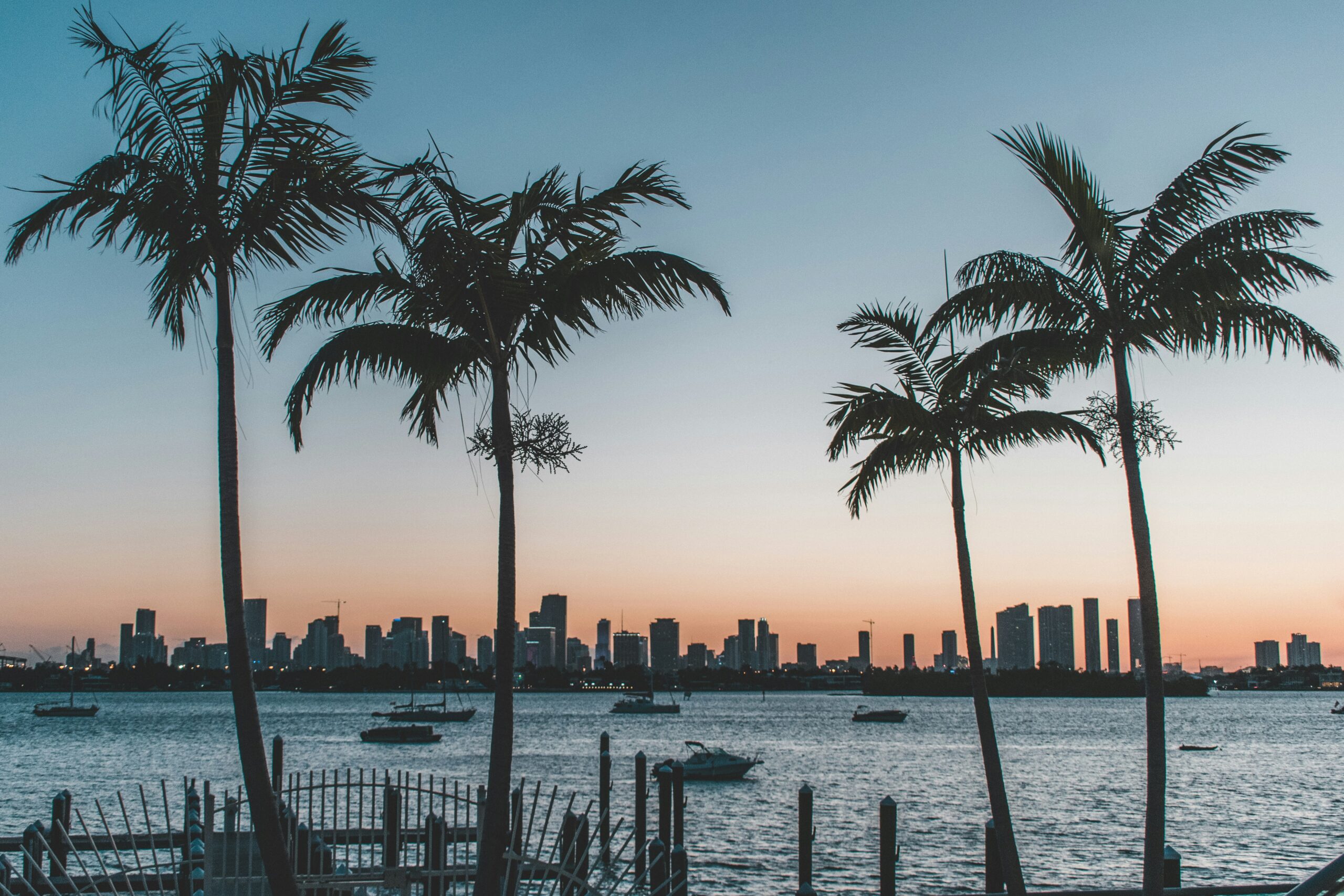 sunset photo of palm trees on miami beach